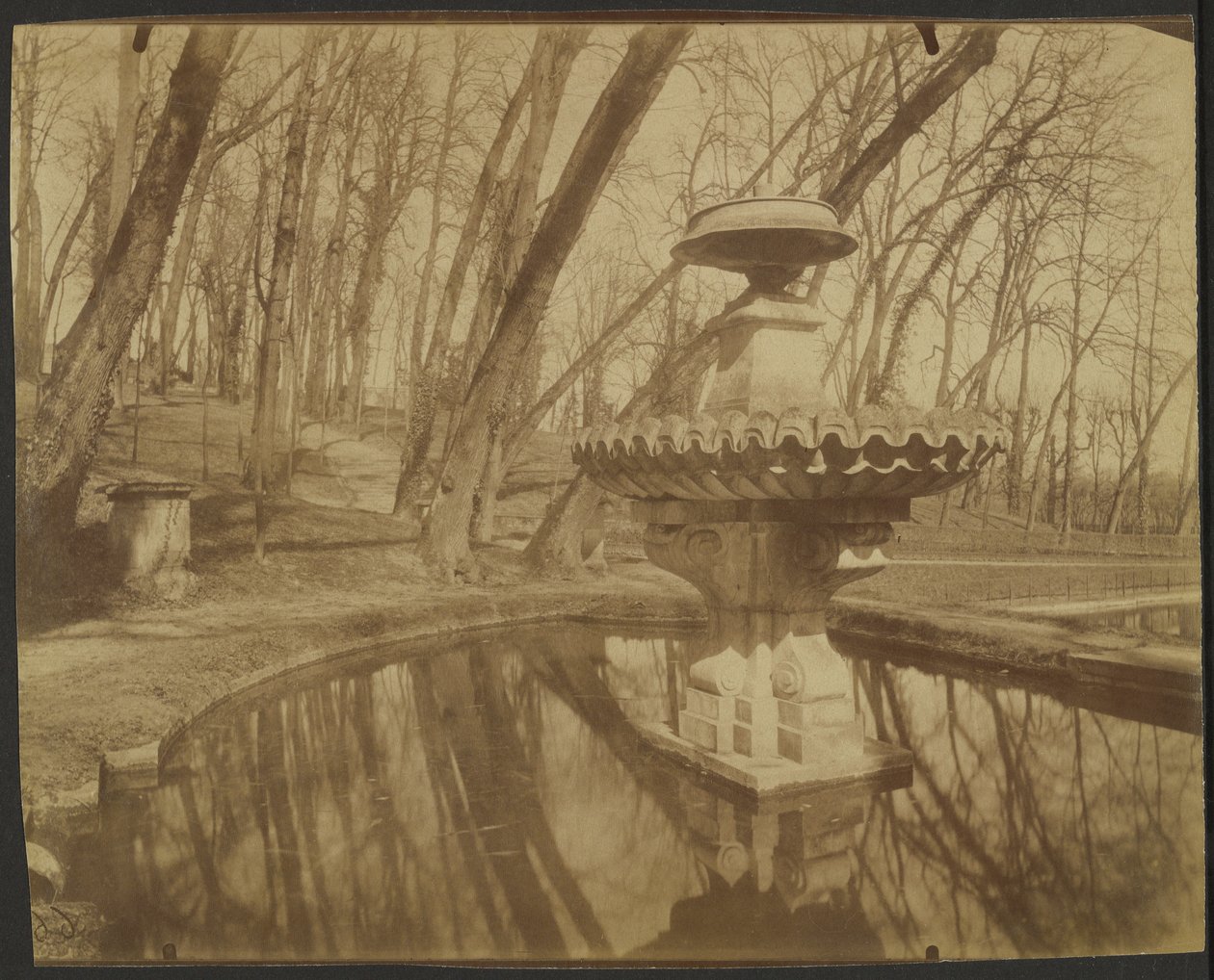 Parc de Saint Cloud (Park Saint Cloud) autorstwa Eugène Atget