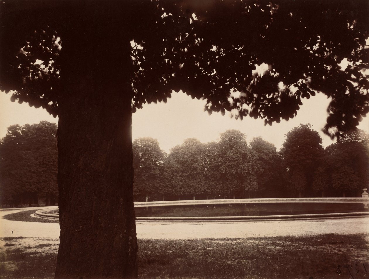 Saint-Cloud autorstwa Eugène Atget