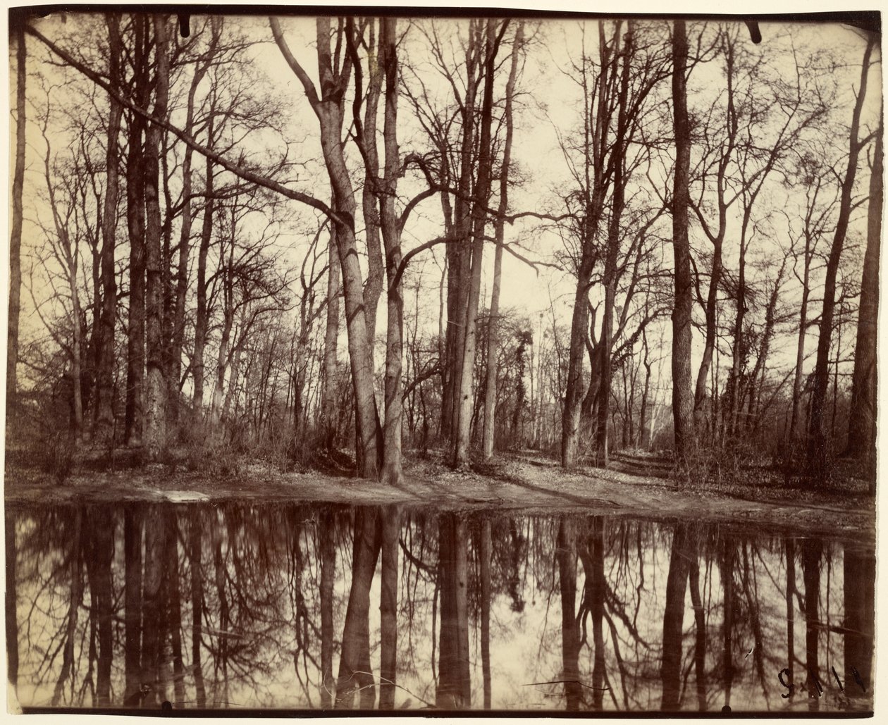 Saint-Cloud autorstwa Eugène Atget