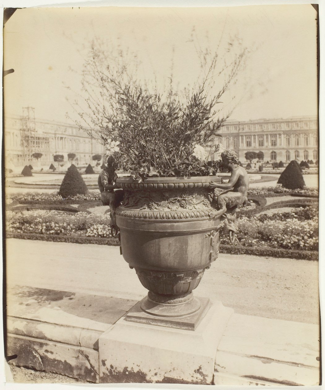 Wersal, Wazon Ballina, 1902. autorstwa Eugène Atget