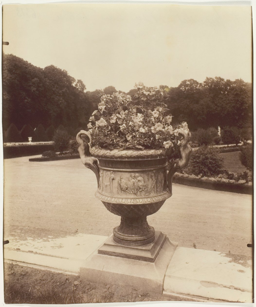 Wersal, Wazon Ballina, 1902. autorstwa Eugène Atget