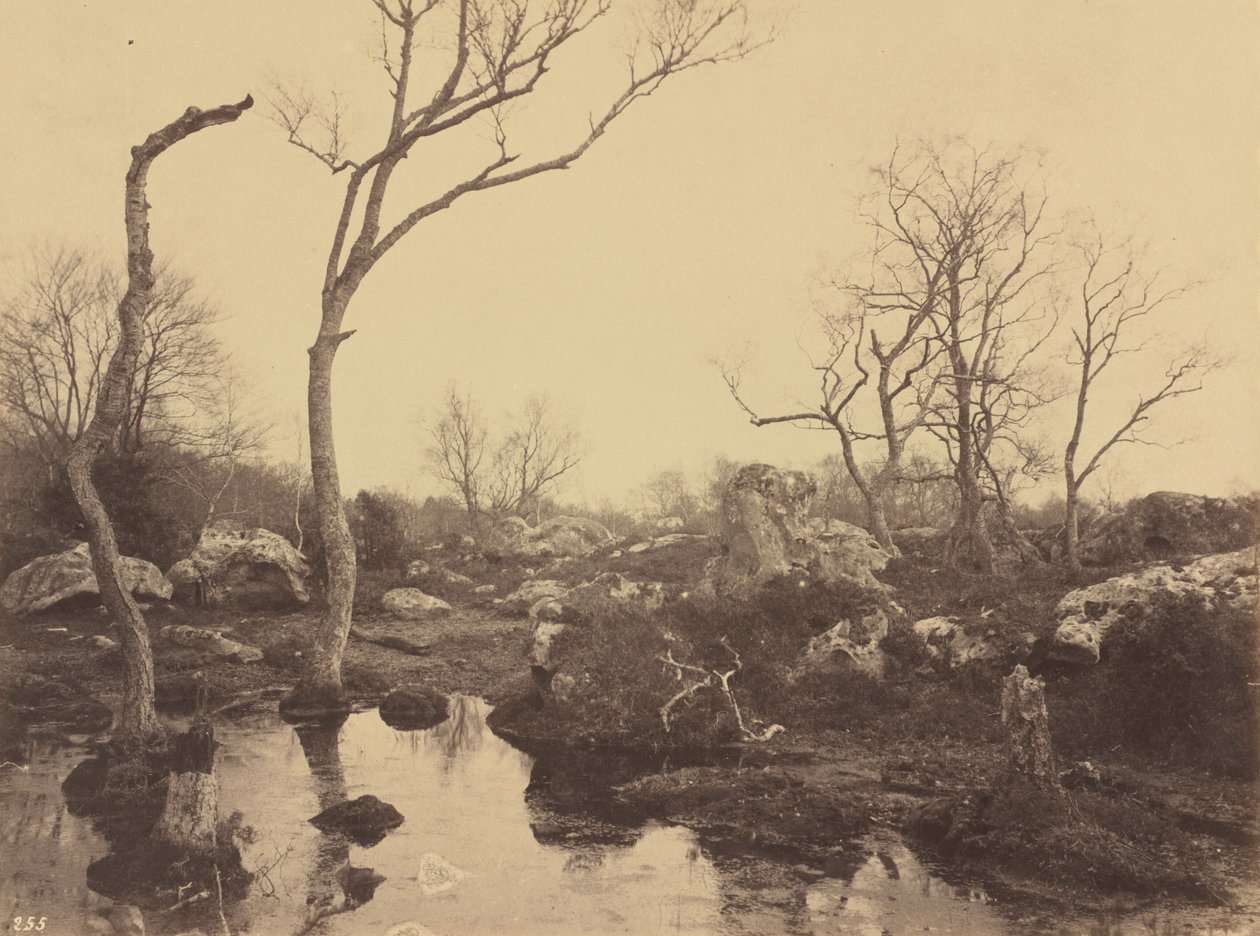Belle Croix, ok. 1858 r. (zdjęcie) autorstwa Eugène Cuvelier