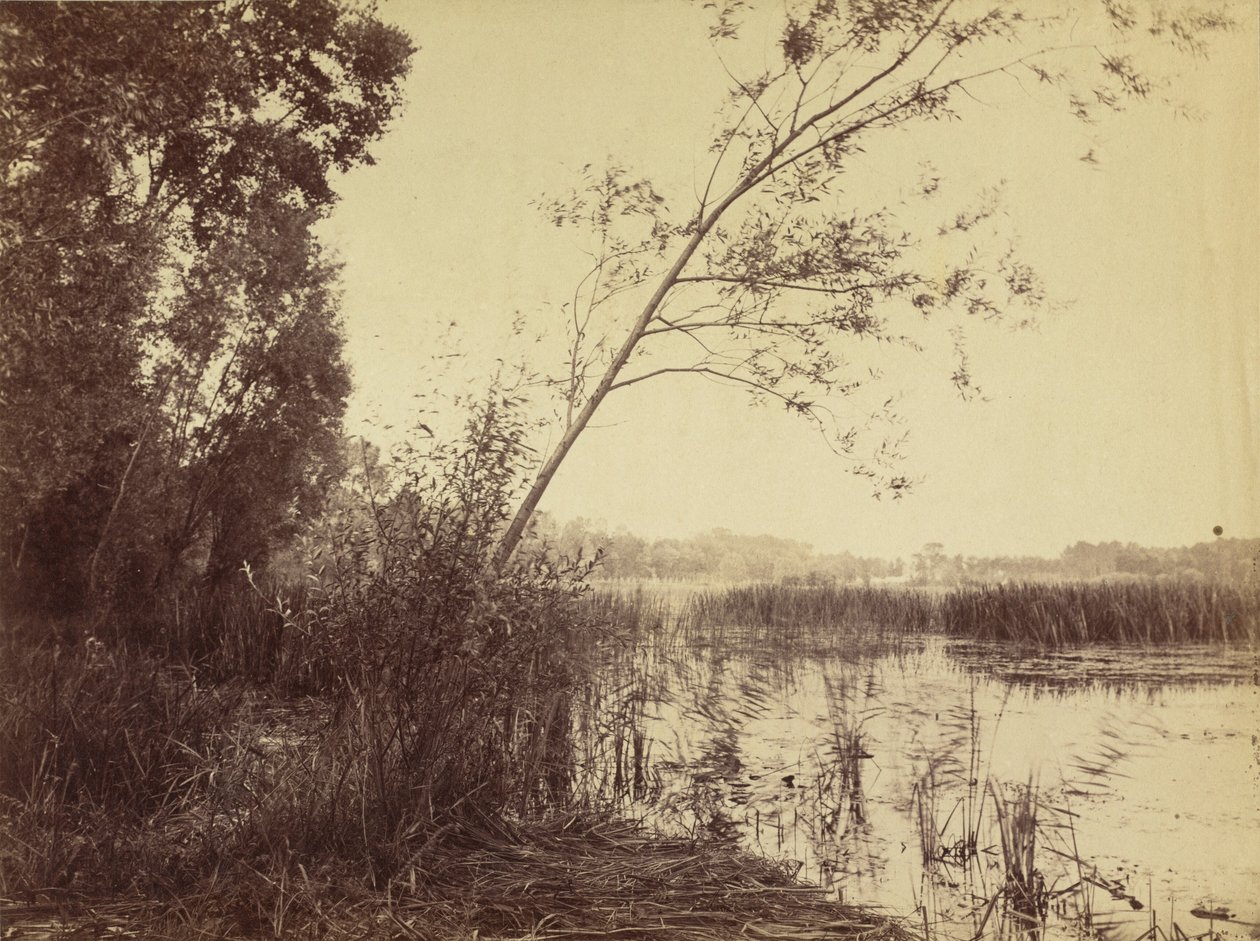 Marais de Fampoux, początek lat sześćdziesiątych XIX wieku (zdjęcie) autorstwa Eugène Cuvelier