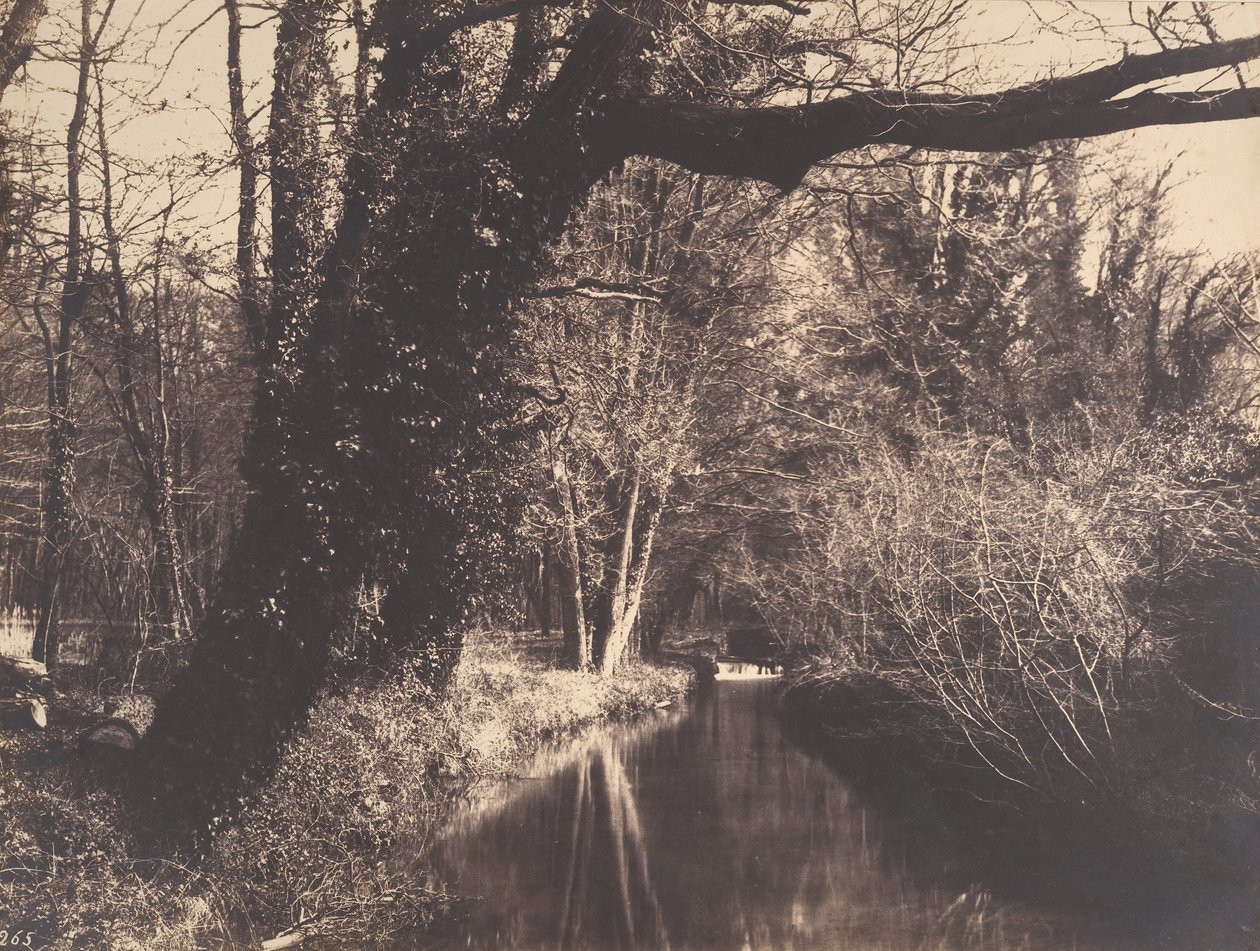 Park Courances, 1860-70. autorstwa Eugène Cuvelier