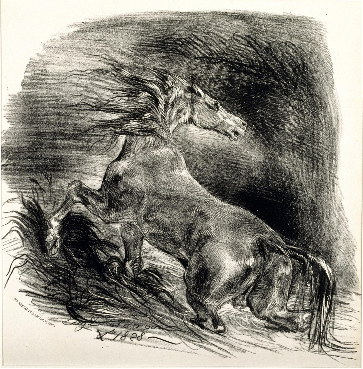 Dziki koń autorstwa Eugène Delacroix