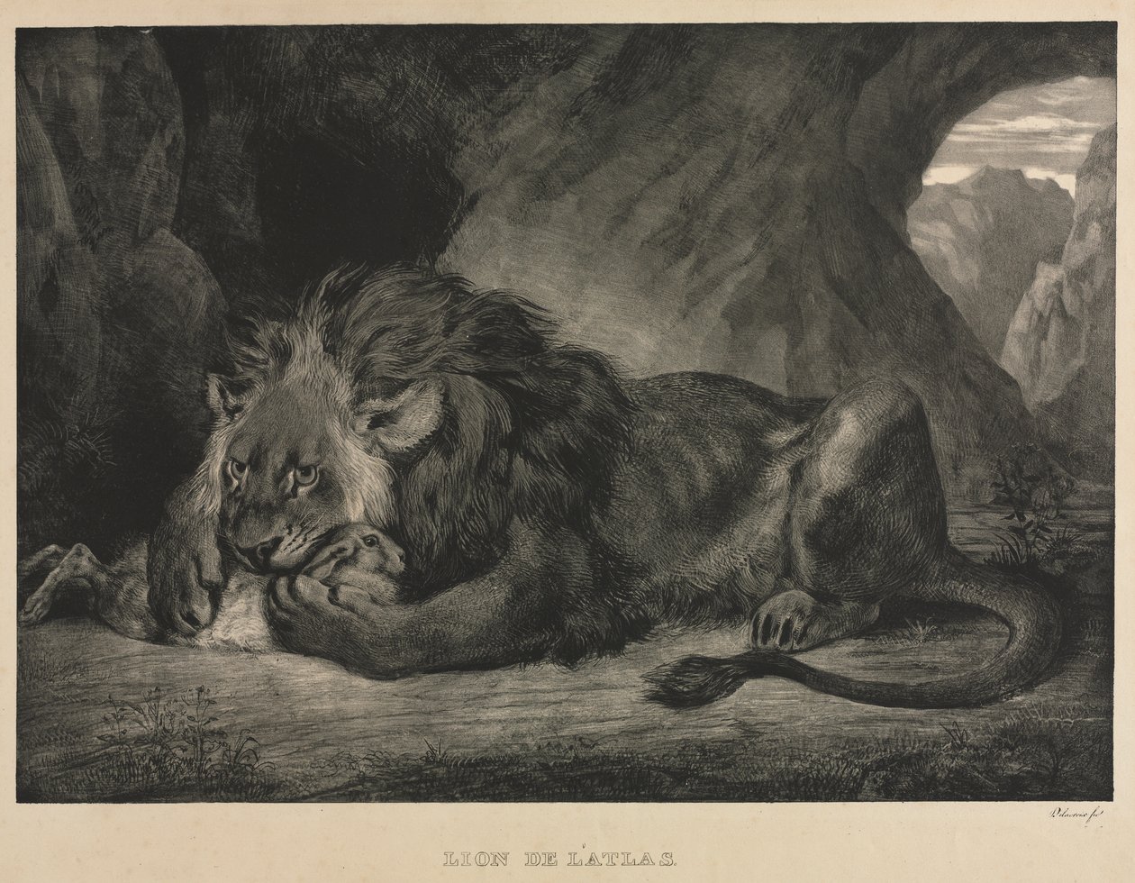 Lew z gór Atlas autorstwa Eugène Delacroix