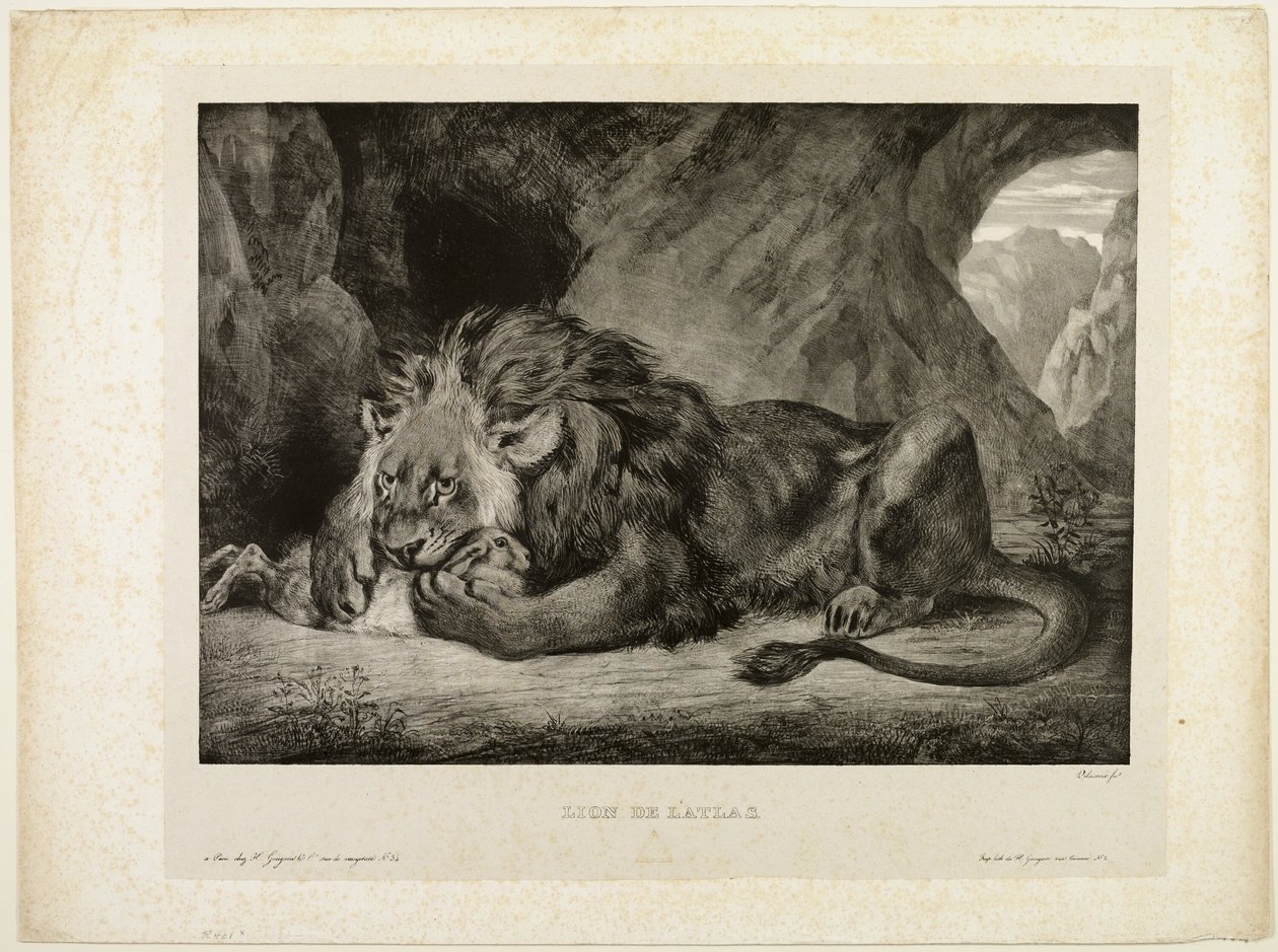 Lew z gór Atlas autorstwa Eugène Delacroix