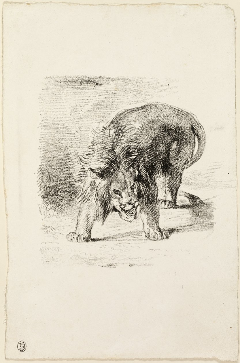 Stojący lew autorstwa Eugène Delacroix
