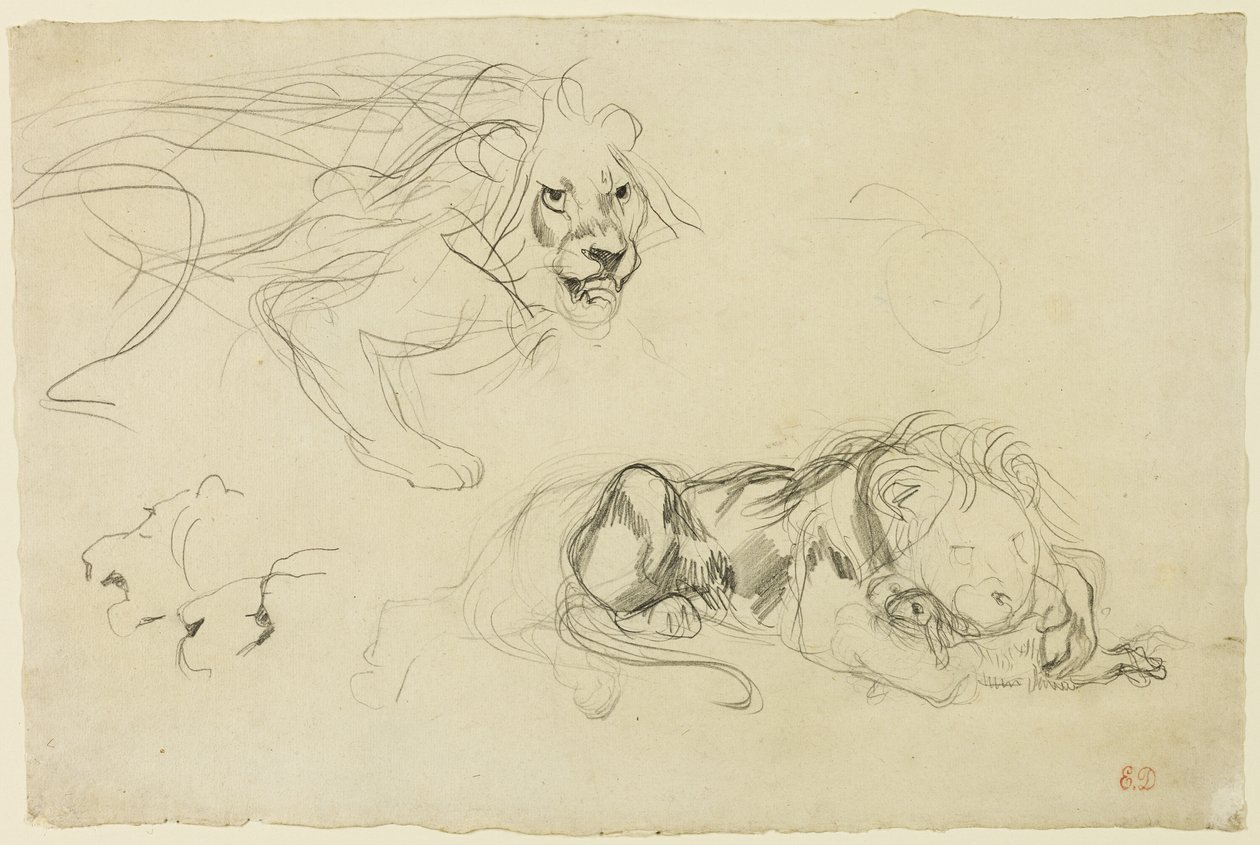 Studia Lwów autorstwa Eugène Delacroix