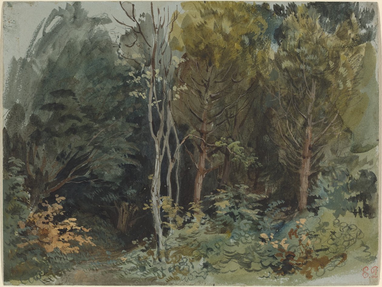 Skraj lasu w Nohant autorstwa Eugène Delacroix