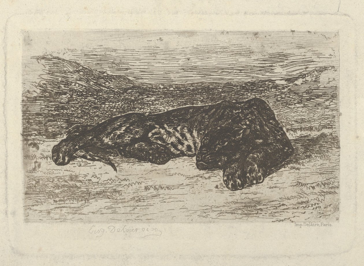 Tygrys leżący na pustyni, 1846., 1846 . autorstwa Eugène Delacroix
