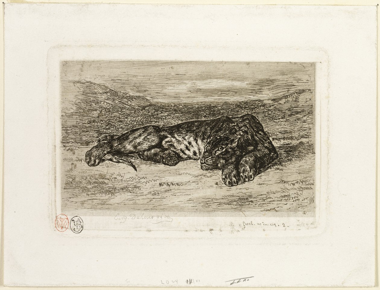 Tygrys odpoczywający na pustyni autorstwa Eugène Delacroix