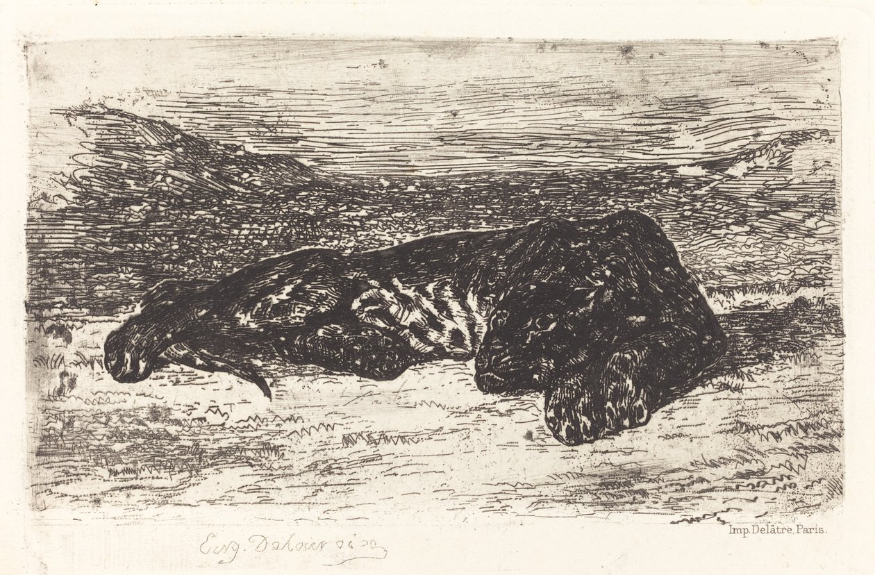 Tygrys śpiący na pustyni, c. 1830. autorstwa Eugène Delacroix