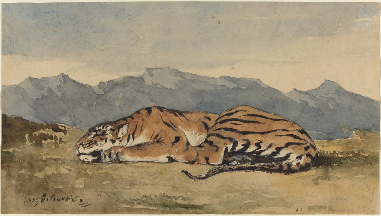 Tygrys, ok. 1830. autorstwa Eugène Delacroix