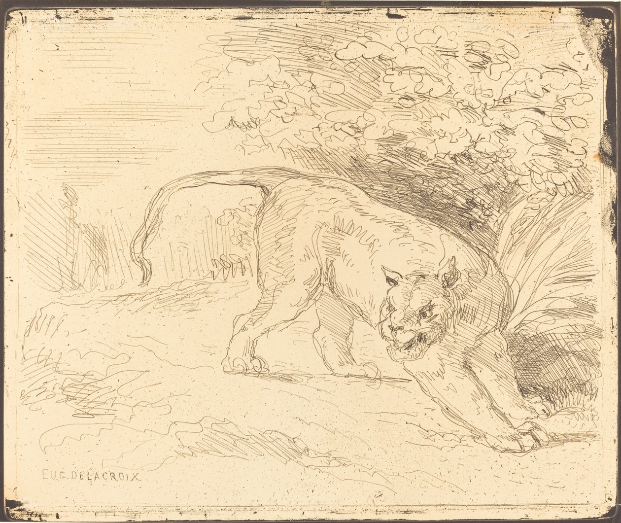 Tygrys w Stopu, 1854. autorstwa Eugène Delacroix