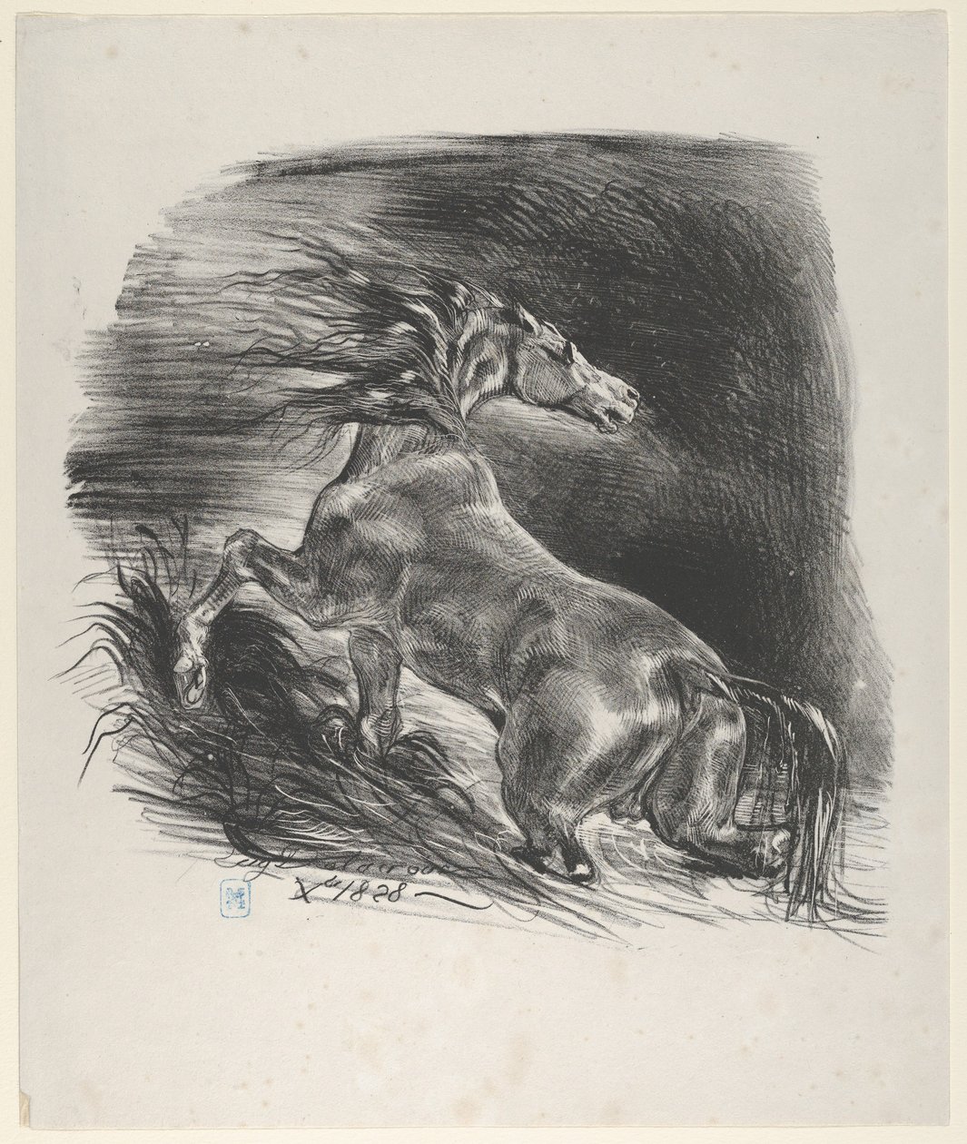 Dziki koń, 1828., 1828. autorstwa Eugène Delacroix