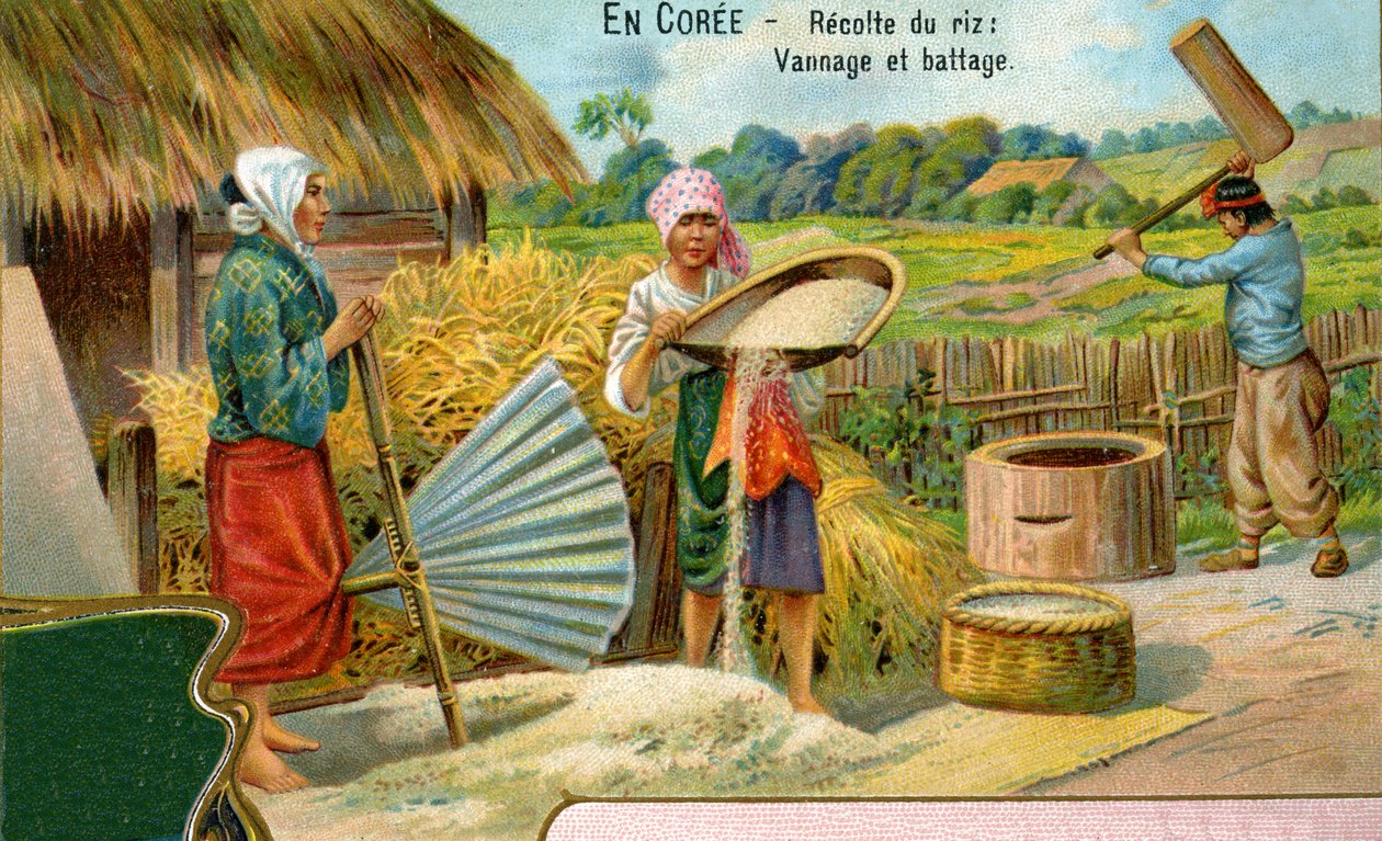Zbiór ryżu w Korei, przesiewanie i omłot, 1904 autorstwa European School