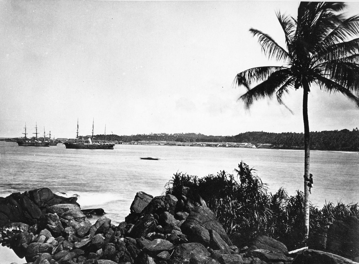 Port w Kolombo, ok. 1860-80 autorstwa European Photographer