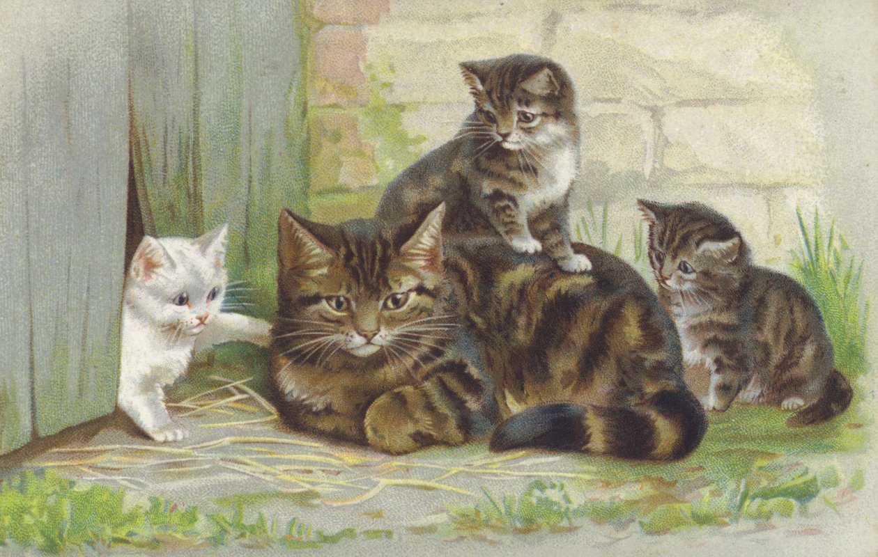 Kotka tabby z trójką kociąt (chromolitho) autorstwa European School