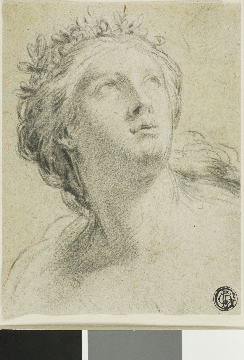 Głowa kobiety autorstwa Eustache Le Sueur