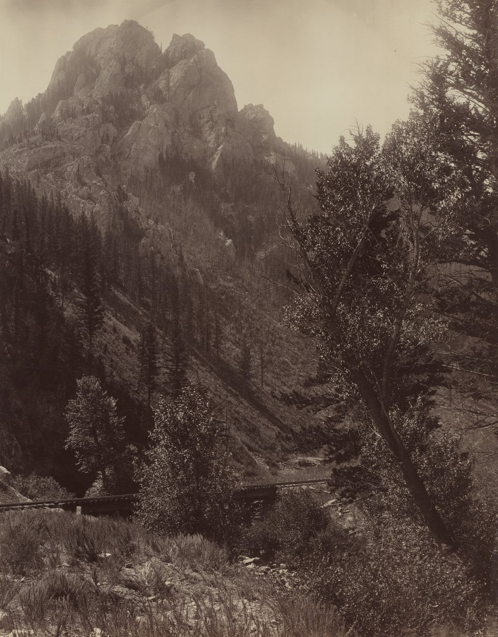 Bez tytułu, ok. 1884. autorstwa F. Jay Haynes
