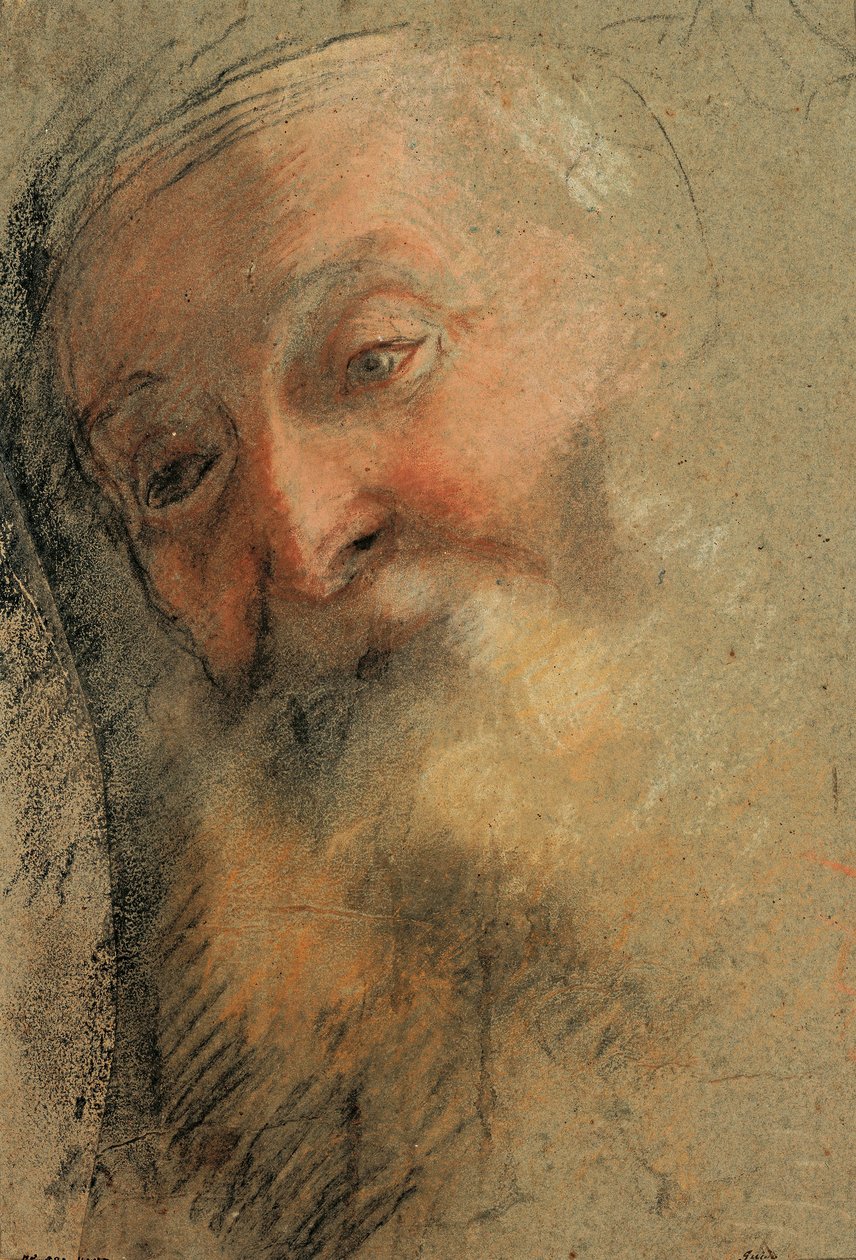 Głowa starego brodatego mężczyzny, 1584-1586 autorstwa Federico Barocci