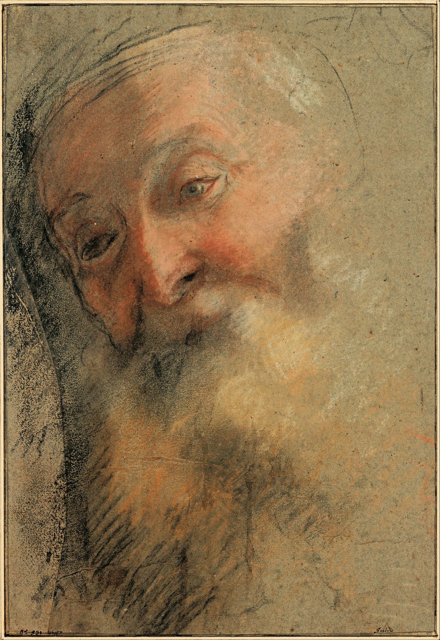 Głowa starego brodatego mężczyzny autorstwa Federico Barocci