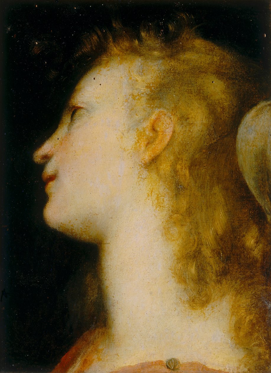 Głowa anioła autorstwa Federico Barocci