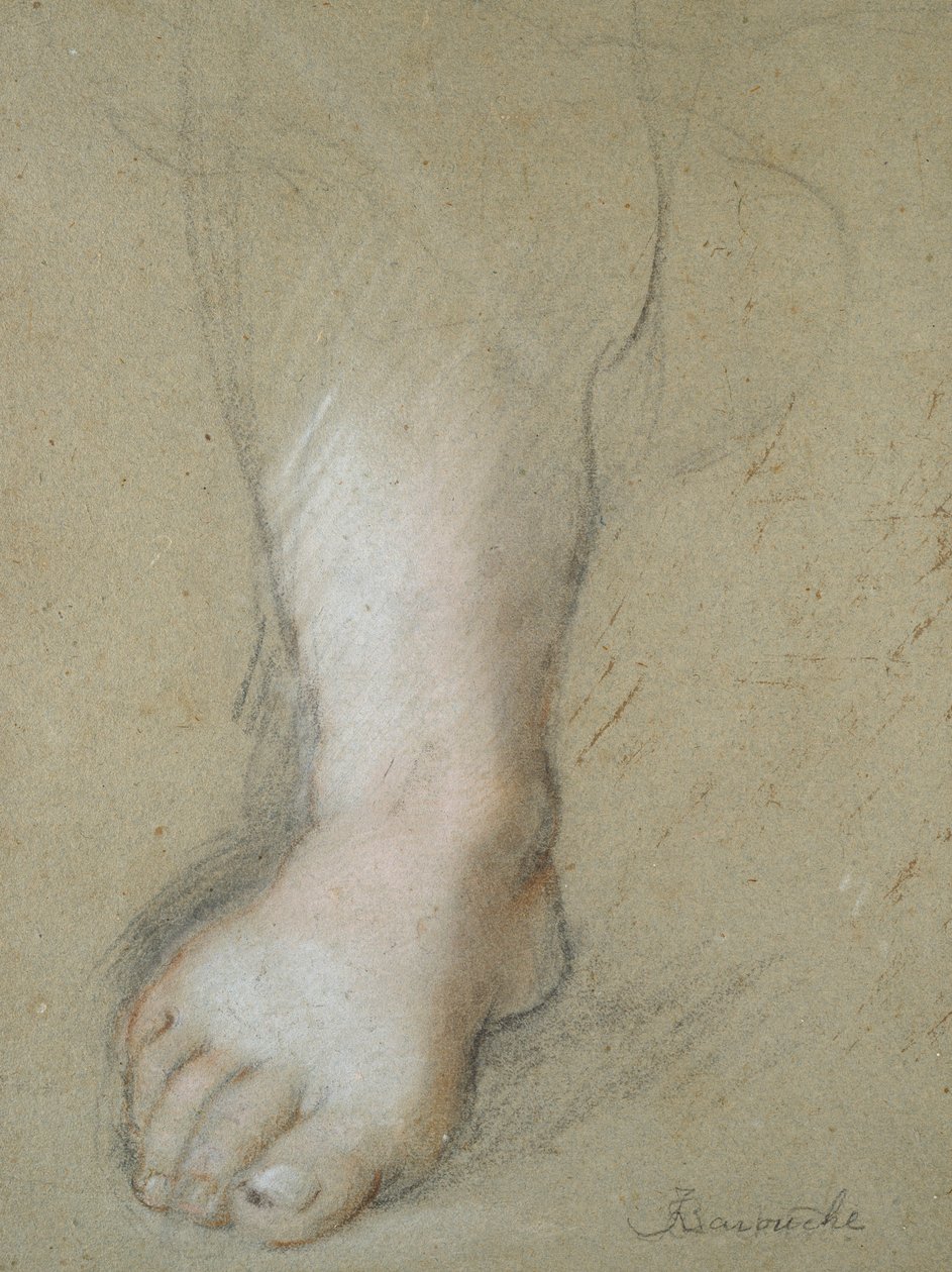 Studium stopy, koniec XVI wieku autorstwa Federico Barocci