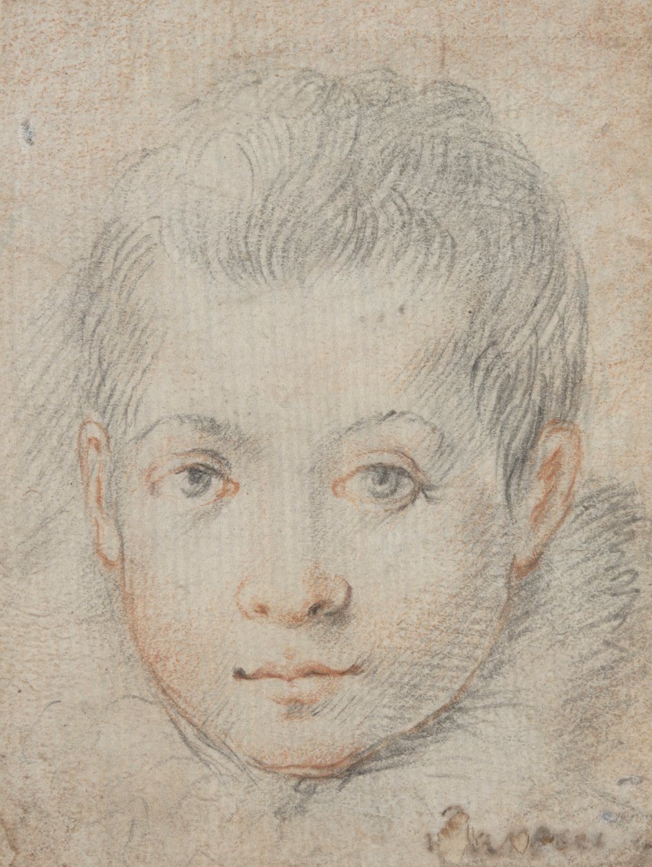 Głowa chłopca autorstwa Federico Zuccaro