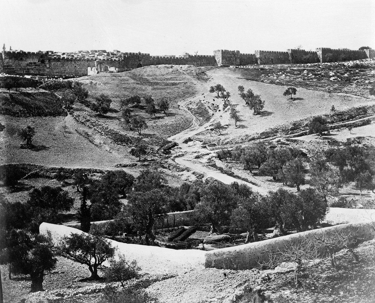 Ogród Getsemani, 1857 autorstwa Felice Beato