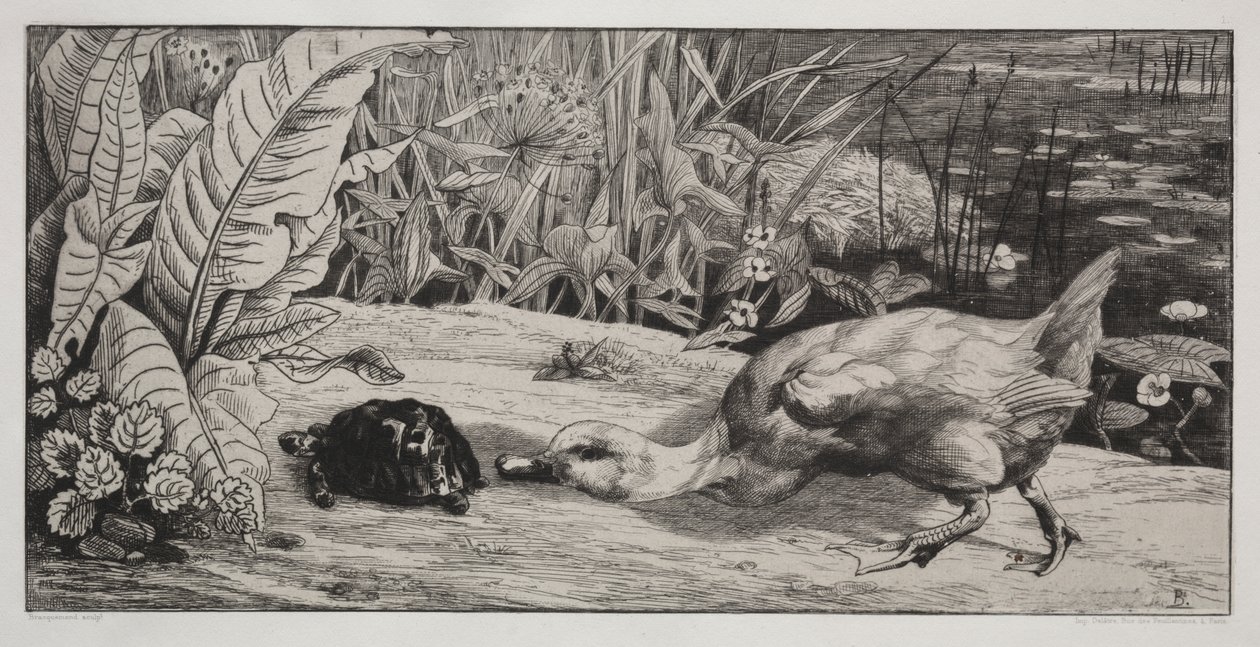 Nieznane autorstwa Felix Bracquemond