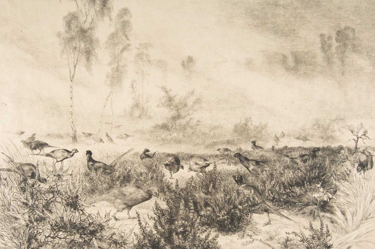 Poranne mgły, 1882. autorstwa Felix Bracquemond