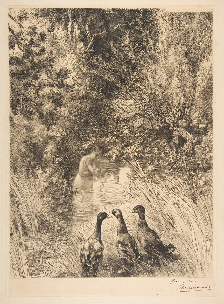 Zaskoczone kaczki, 1882. autorstwa Felix Bracquemond