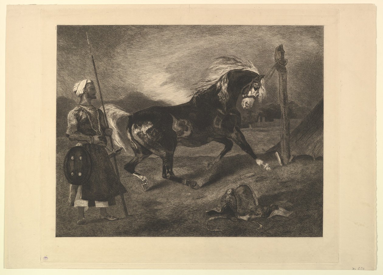 Koń arabski na palu, wg Delacroix, 1857. autorstwa Felix Bracquemond