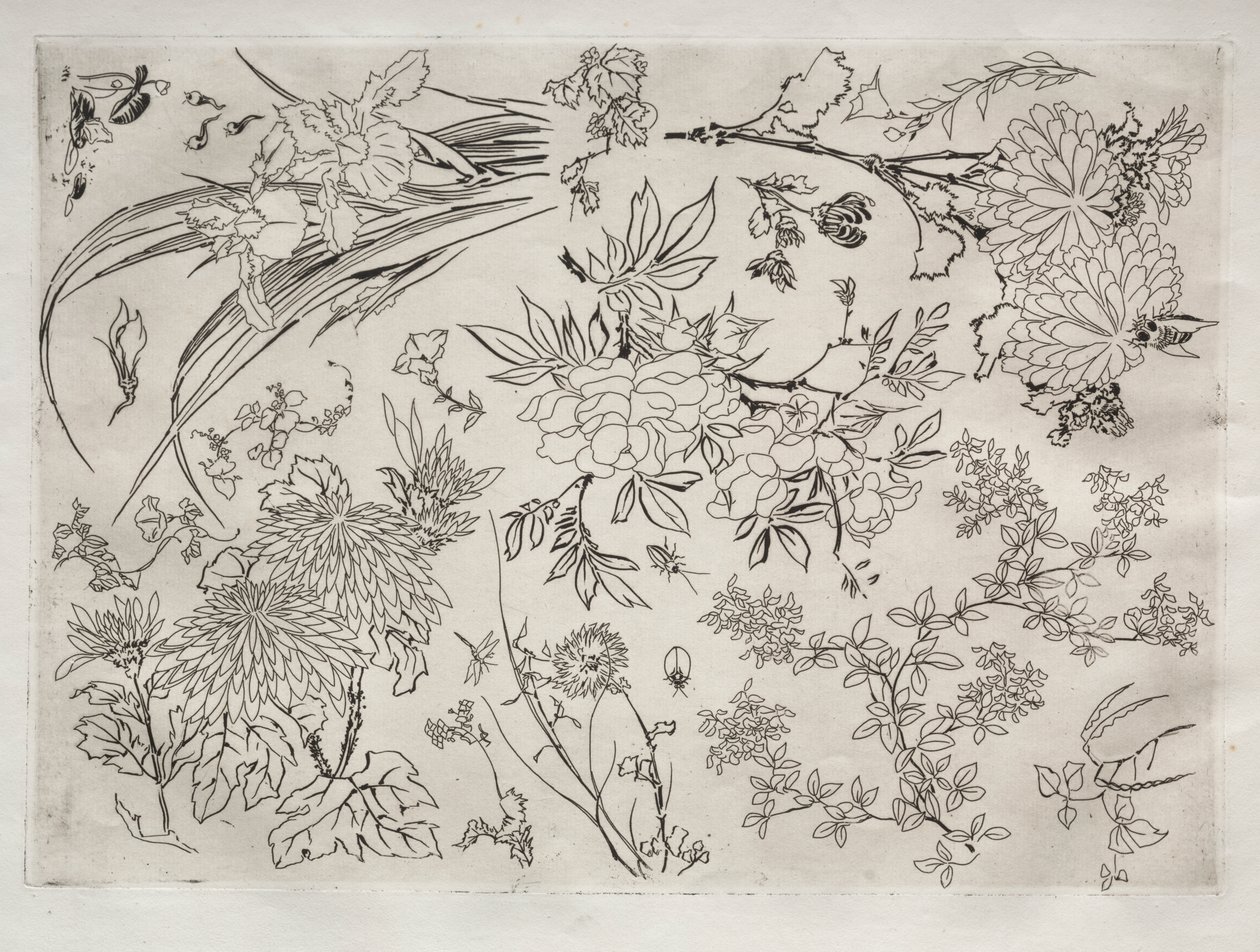 Serwis obiadowy (usługa Rousseau): Kwiaty (nr 23) autorstwa Felix Bracquemond