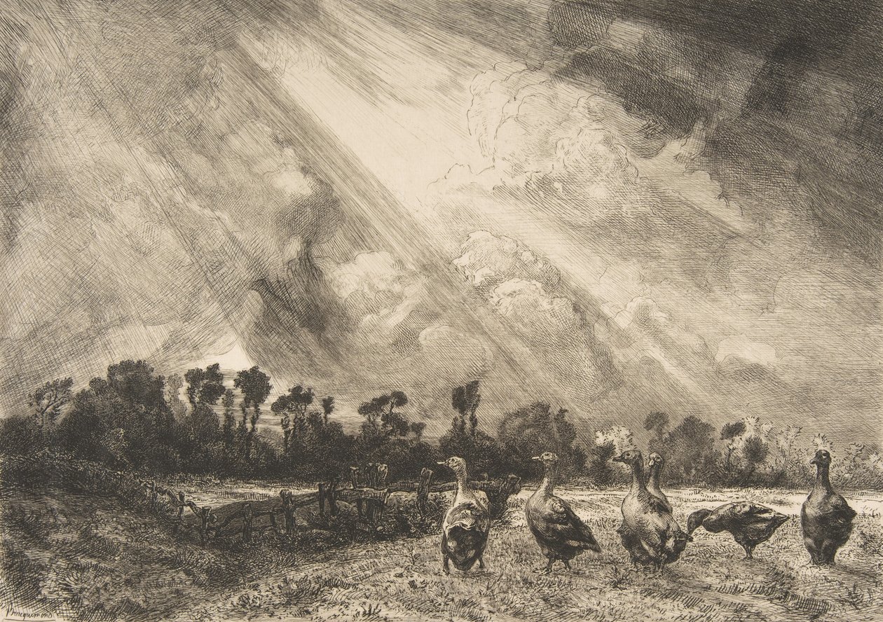 Chmura burzowa, 1882-84. autorstwa Felix Bracquemond