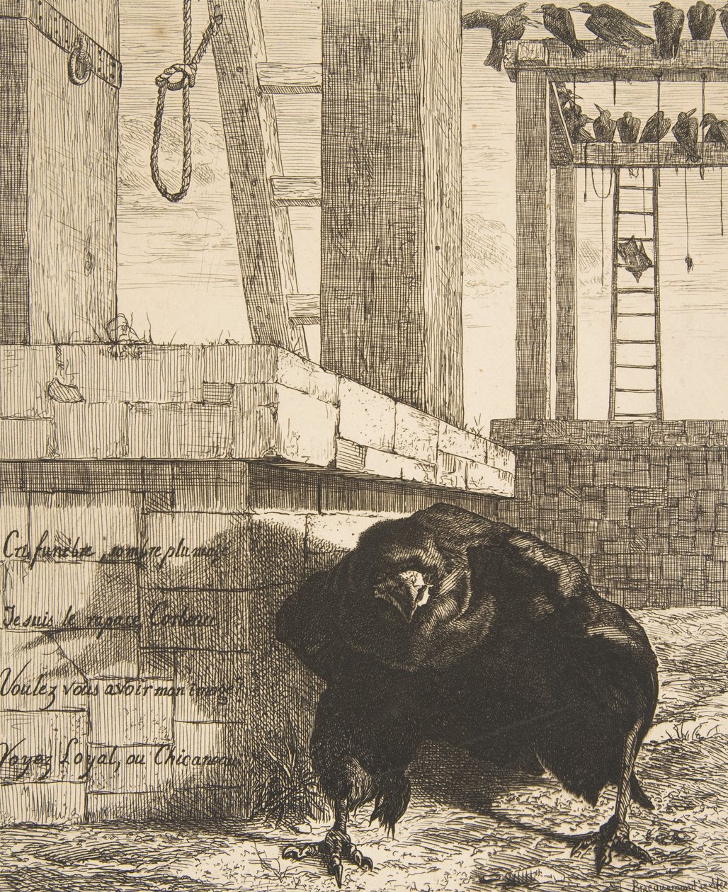 Kruk, 1859. autorstwa Felix Bracquemond
