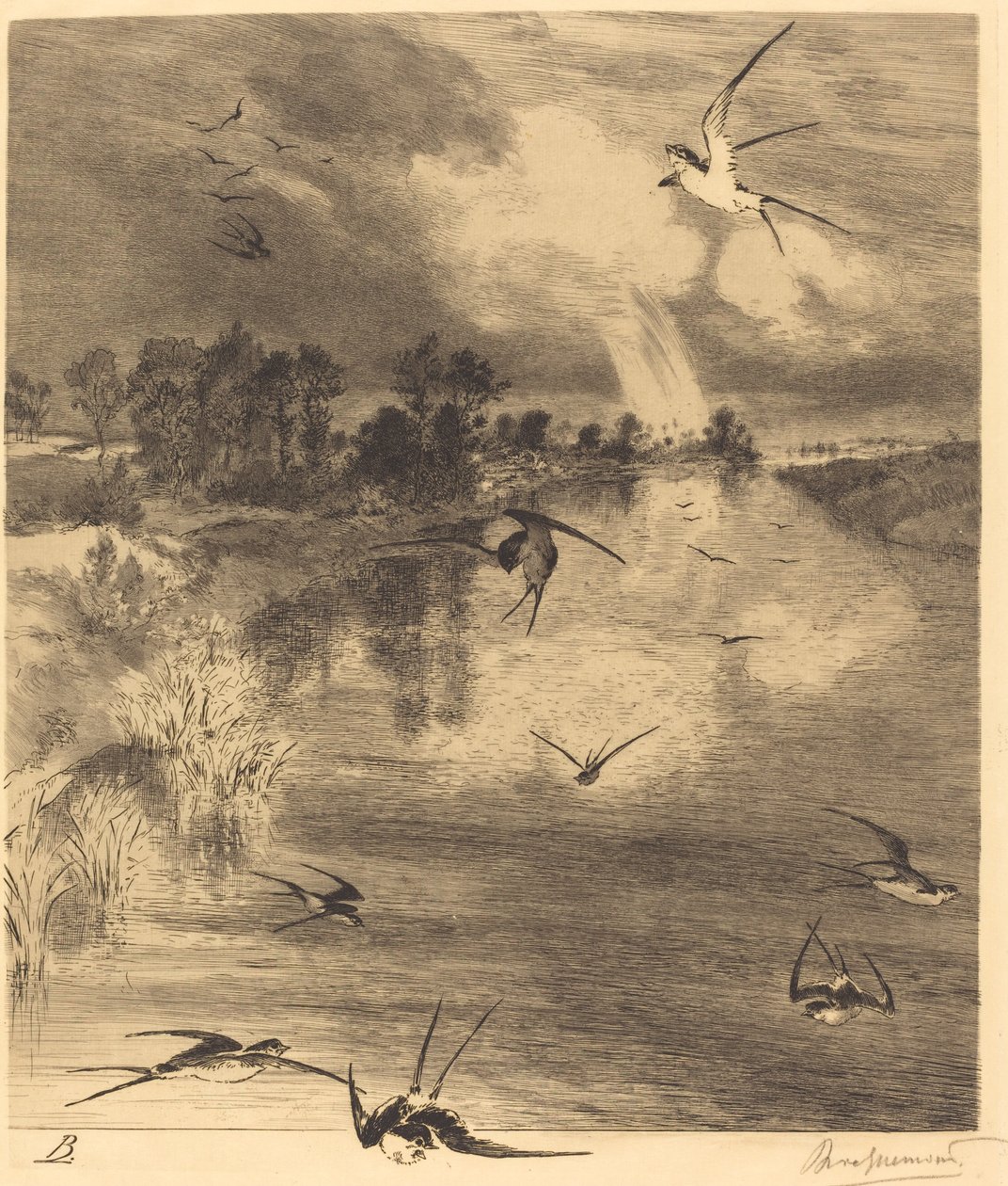 Les Hirondelles (Jaskółki) autorstwa Felix Bracquemond