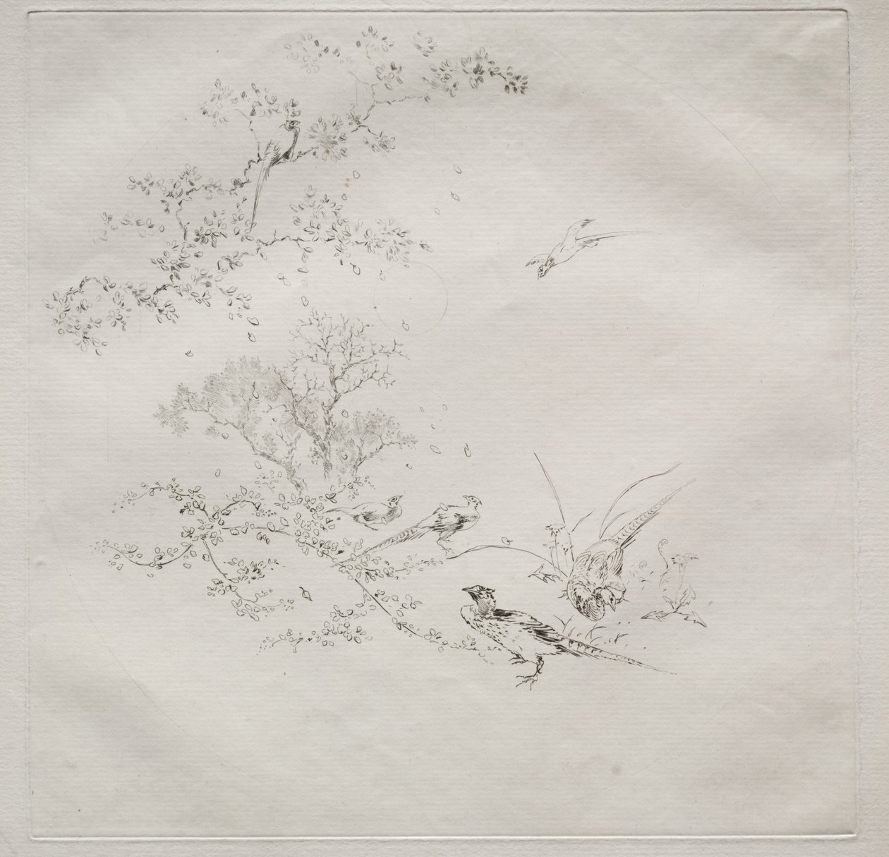 Serwis paryski (usługa Haviland) autorstwa Felix Bracquemond