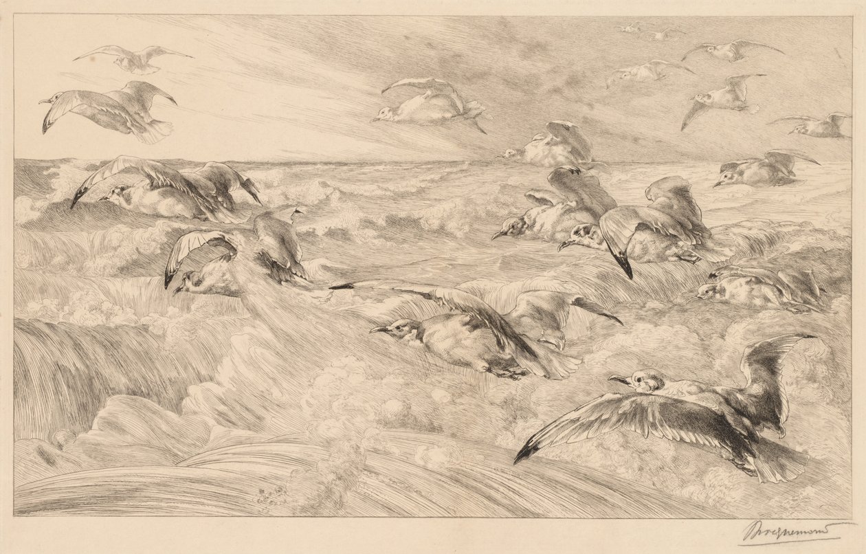 Mewy autorstwa Felix Bracquemond