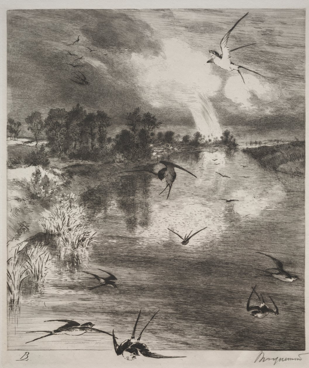 Jaskółki autorstwa Felix Bracquemond