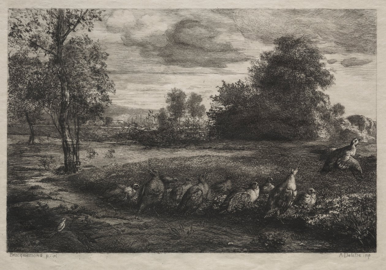 Wezwanie do porządku, 1859. autorstwa Felix Bracquemond