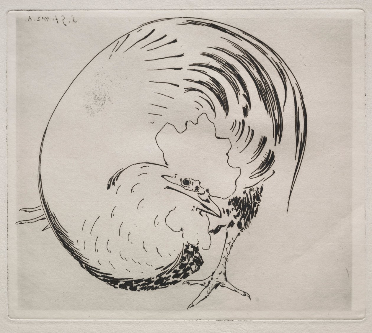 Służba straży pożarnej: Kogut, ok. 1930 r. 1860. autorstwa Felix Bracquemond