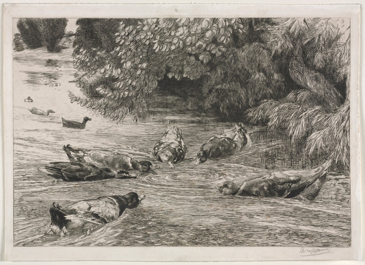 Znak zapytania, c. 1865. autorstwa Felix Bracquemond