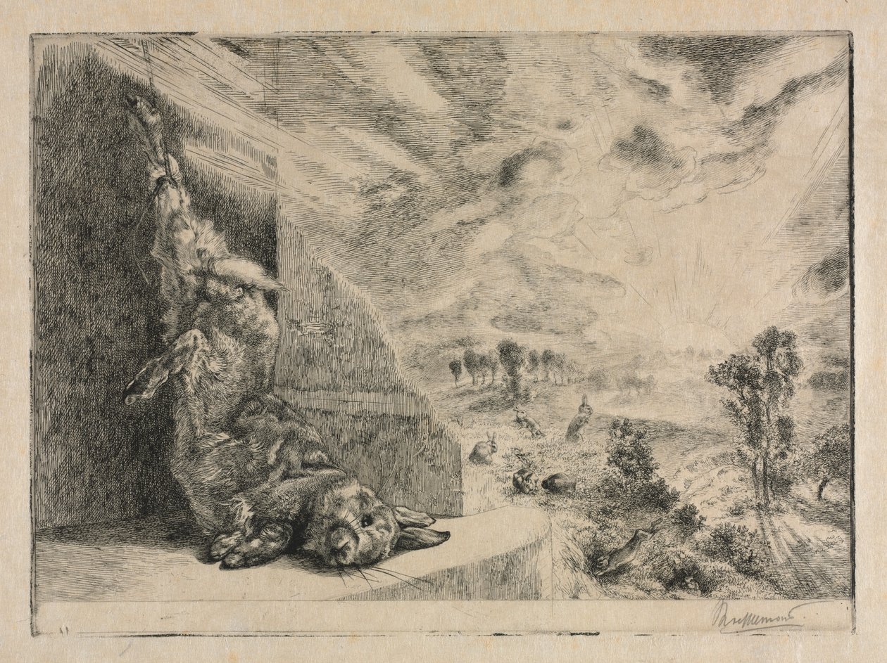 Dziki królik, 1891. autorstwa Felix Bracquemond