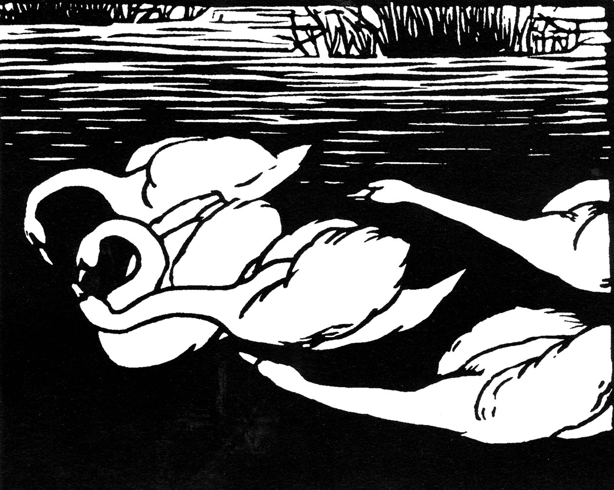 Łabędzie, 1892. autorstwa Felix Edouard Vallotton