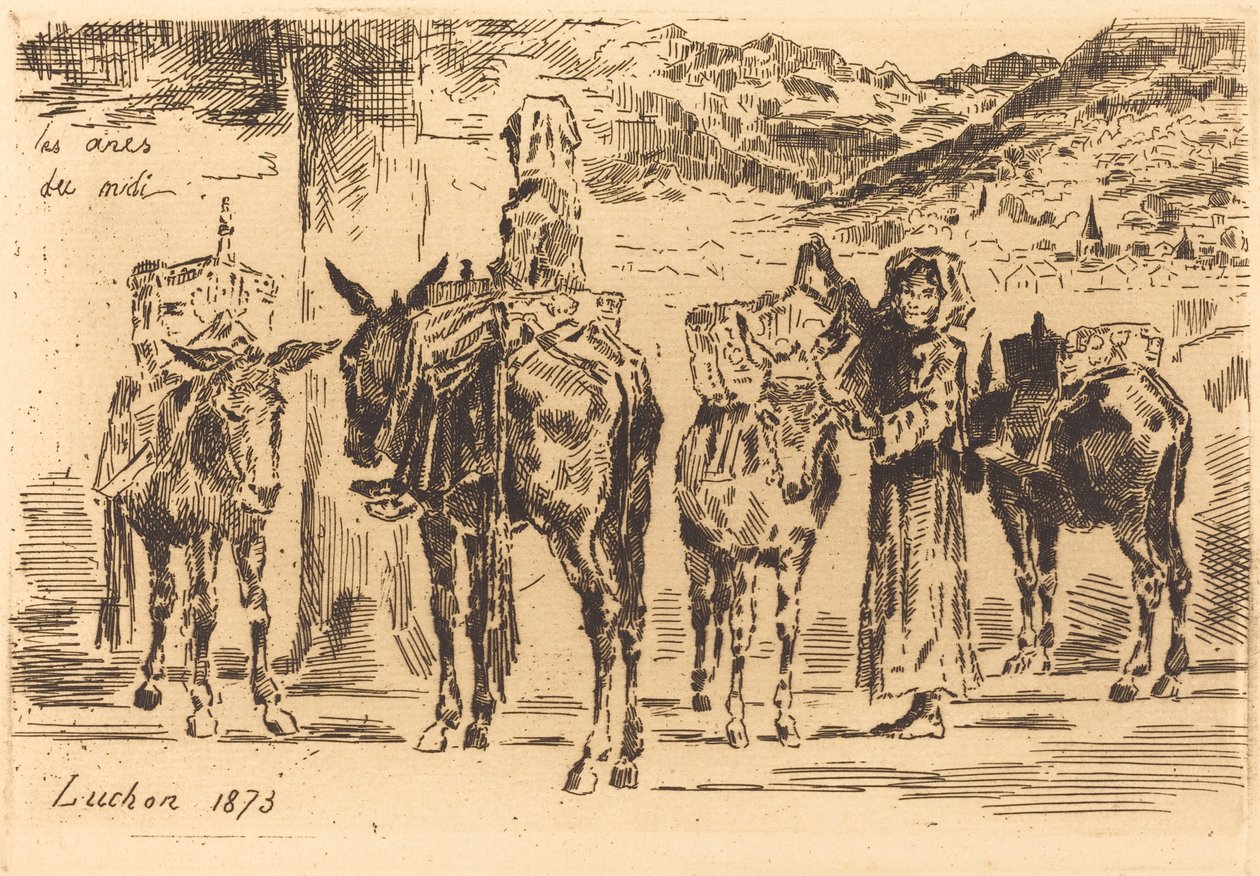 Arkusze osłów z południa, 1873 r. autorstwa Felix Hilaire Buhot