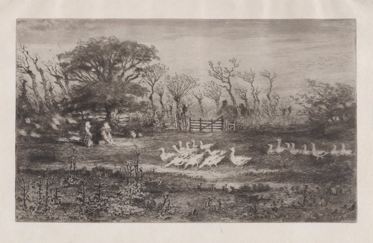 Gęsi, 1860-98. autorstwa Felix Hilaire Buhot