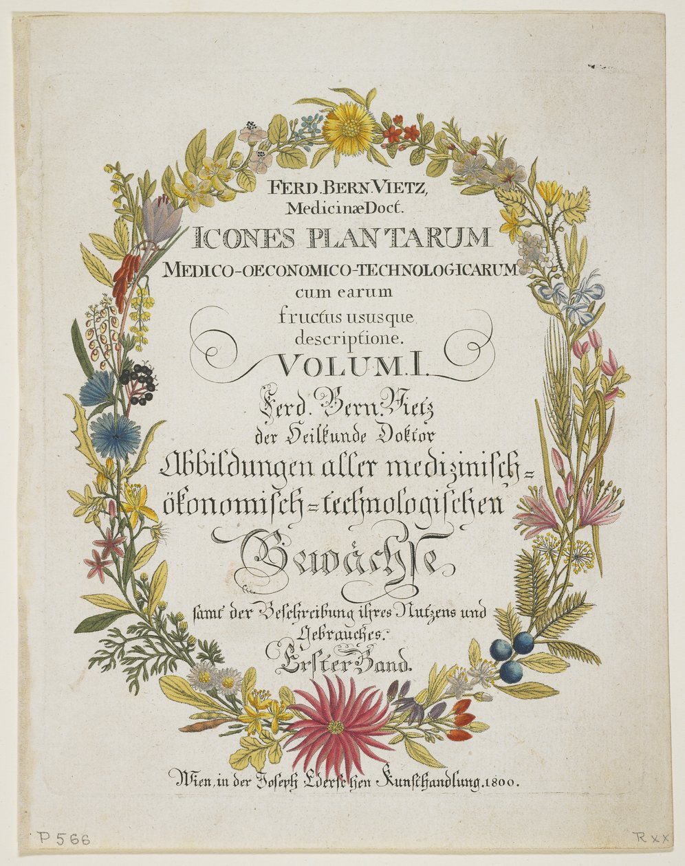 Frontispiece i strona tytułowa, tom I, z Icones Plantarum Medico-Oeconomico-Technologicarum cum Earum Fructus ususque Descriptione, 1800 (rycina ręcznie kolorowana) autorstwa Ferdinand Bernhard Vietz
